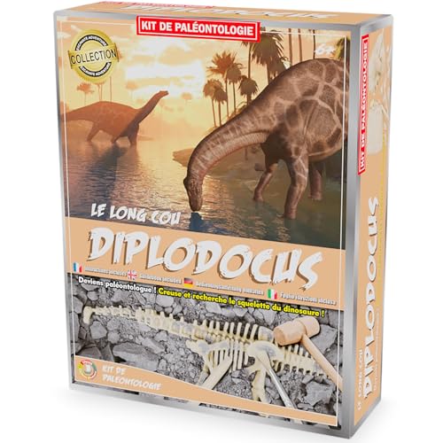 Ulysse - Kit Paléo : Diplodocus Archéologie et Paléontologie