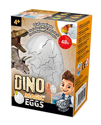 Buki - D6G - Dinos œufs magiques, Centre