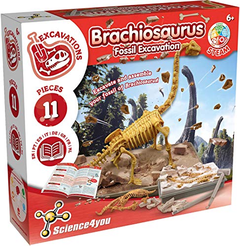 Science4you - Brachiosaurus, Kit de Fouille pour Enfant +6 A