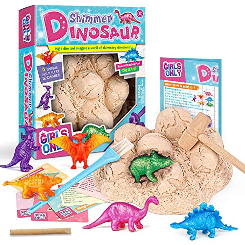 Byncceh Grand Kit de Fouille Dinosaures avec 6 Figurines de 