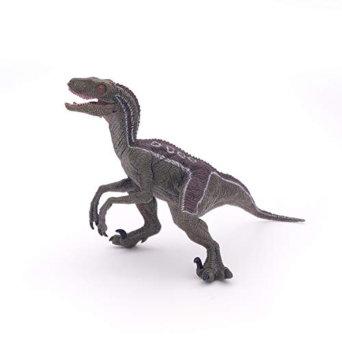 Papo - Figurines A Collectionner - Dinosaure - Vélociraptor 
