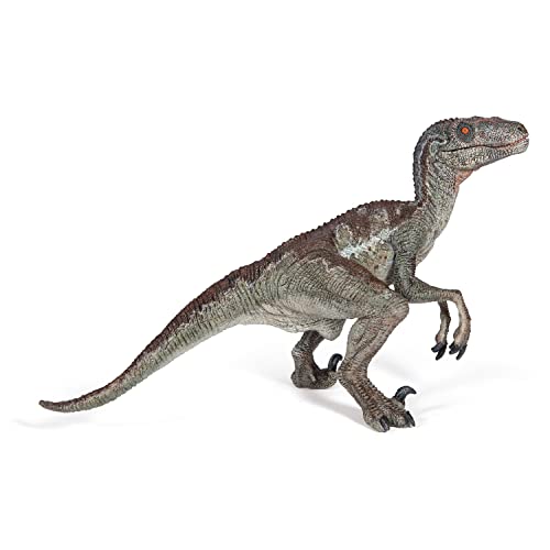 Papo - Figurines A Collectionner - Dinosaure - Vélociraptor 