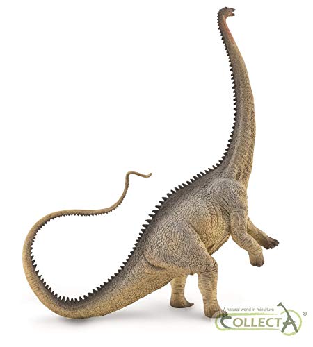 Collecta Préhistoire (XL): Diplodocus Gris 19.4x22.8cm